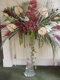 Marquis of Fulwood Floral Design 1073153 Image 1